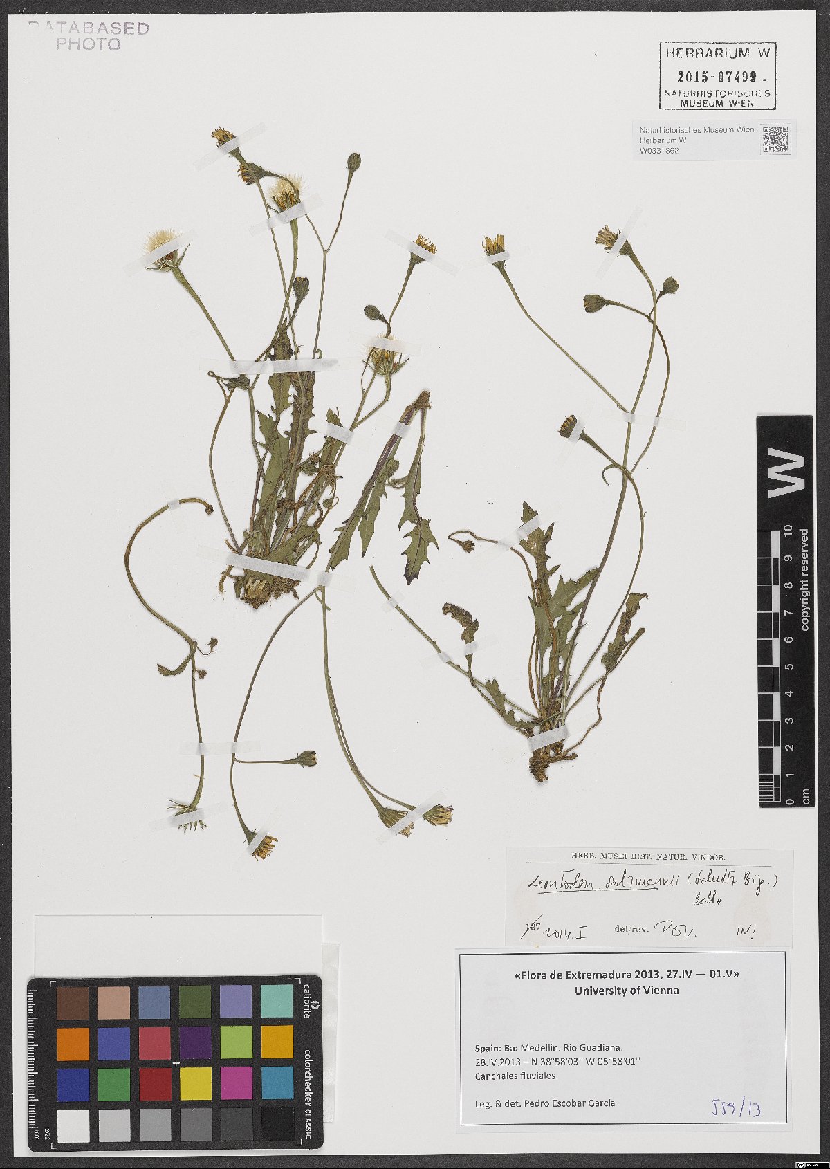 © , some rights reserved (CC-BY)